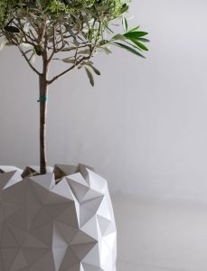 Origami pot plant grows studio